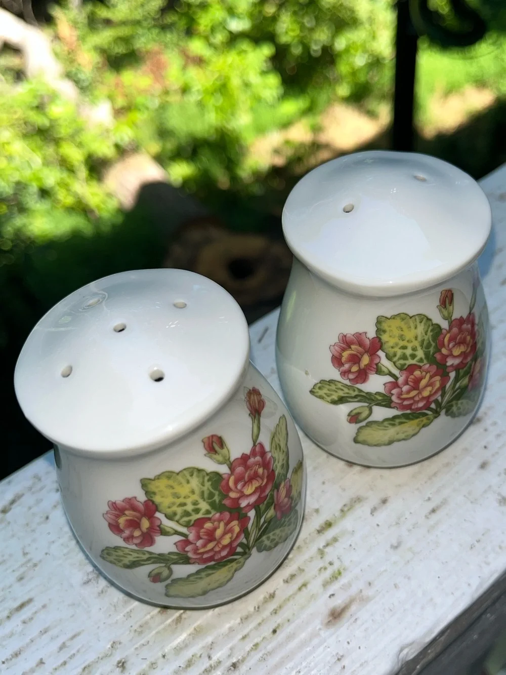 Vintage Noritake Fine China Gourmet Garden Salt & Pepper Shaker Set